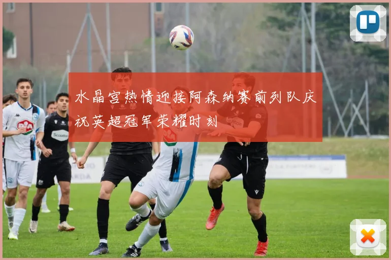 水晶宫热情迎接阿森纳赛前列队庆祝英超冠军荣耀时刻