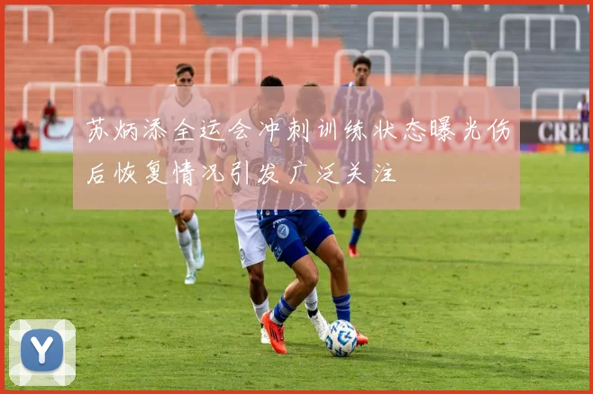 苏炳添全运会冲刺训练状态曝光伤后恢复情况引发广泛关注